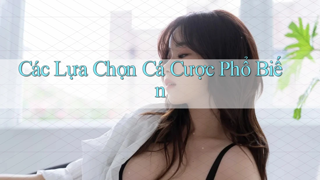 Các Lựa Chọn Cá Cược Phổ Biến Các Lựa Chọn Cá Cược Phổ Biến