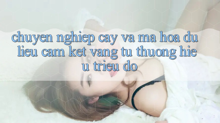 Chuyên nghiệp cậy Và Mã hóa dữ liệu: Cam Kết Vàng Từ Thương Hiệu Triệu Đô Chuyên nghiệp cậy Và Mã hóa dữ liệu: Cam Kết Vàng Từ Thương Hiệu Triệu Đô