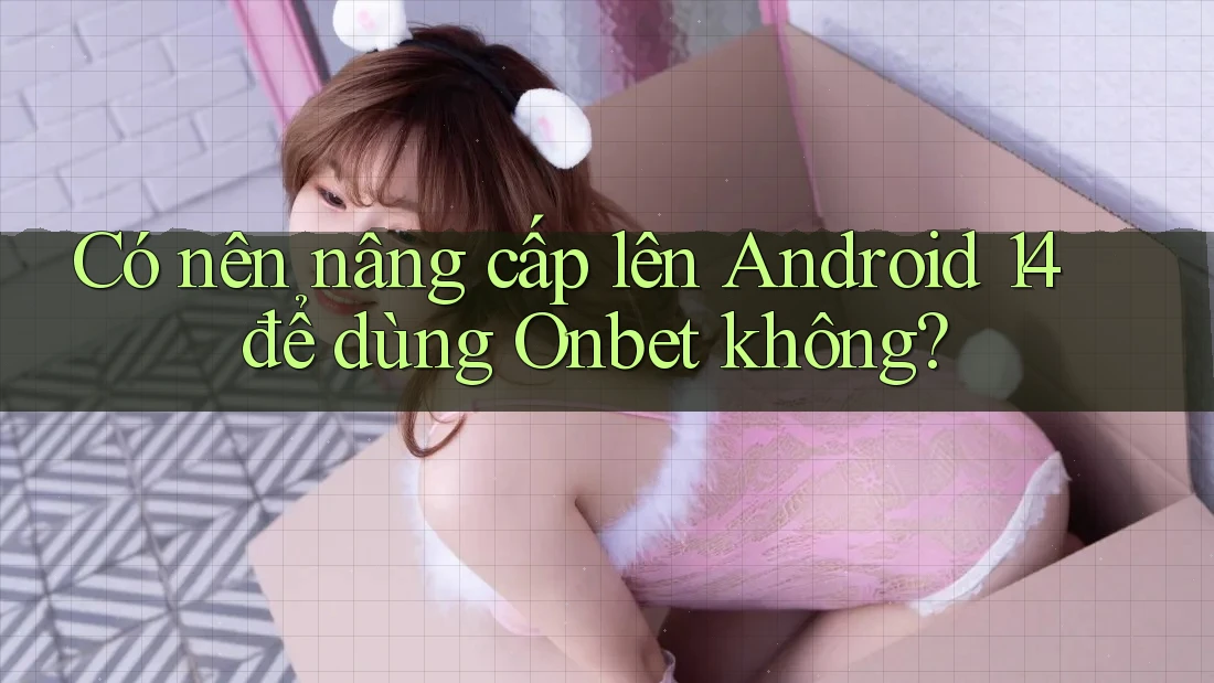 Có nên nâng cấp lên Android 14 để dùng Onbet không? Có nên nâng cấp lên Android 14 để dùng Onbet không?