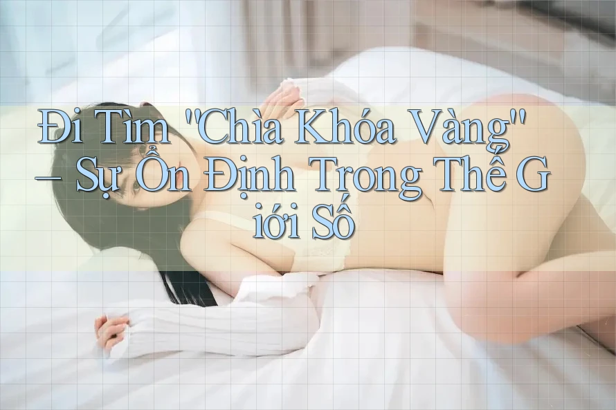 Đi Tìm “Chìa Khóa Vàng” – Sự Ổn Định Trong Thế Giới Số Đi Tìm “Chìa Khóa Vàng” – Sự Ổn Định Trong Thế Giới Số
