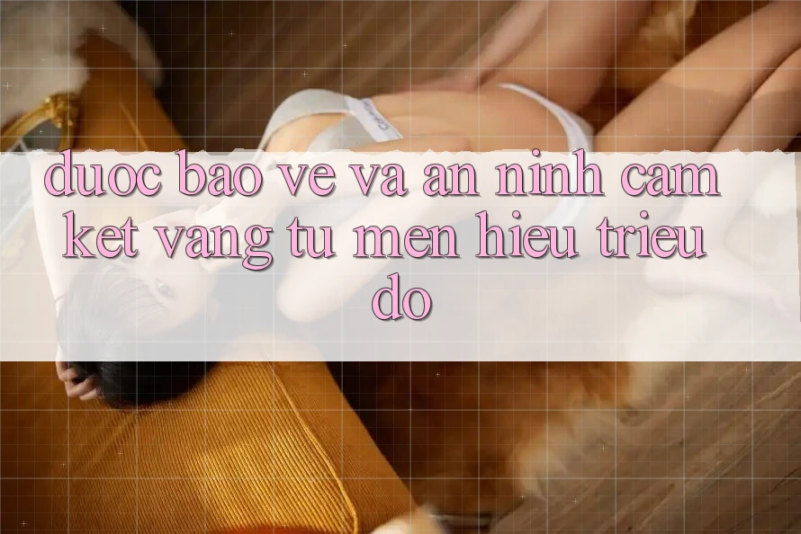 Được bảo vệ Và An ninh: Cam Kết Vàng Từ Mến Hiệu Triệu Đô