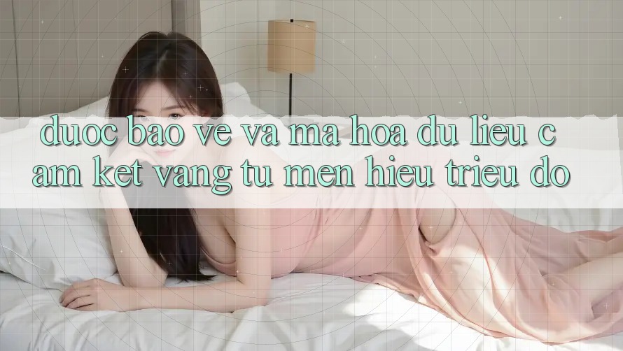 Được bảo vệ Và Mã hóa dữ liệu: Cam Kết Vàng Từ Mến Hiệu Triệu Đô Được bảo vệ Và Mã hóa dữ liệu: Cam Kết Vàng Từ Mến Hiệu Triệu Đô