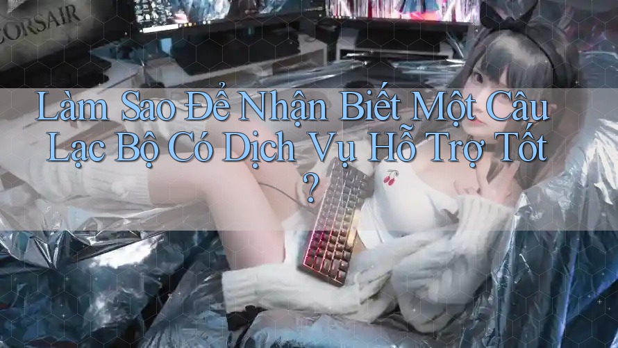 Làm Sao Để Nhận Biết Một Câu Lạc Bộ Có Dịch Vụ Hỗ Trợ Tốt? Làm Sao Để Nhận Biết Một Câu Lạc Bộ Có Dịch Vụ Hỗ Trợ Tốt?