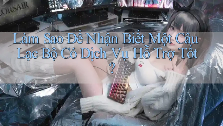Làm Sao Để Nhận Biết Một Câu Lạc Bộ Có Dịch Vụ Hỗ Trợ Tốt? Làm Sao Để Nhận Biết Một Câu Lạc Bộ Có Dịch Vụ Hỗ Trợ Tốt?
