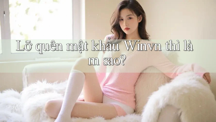 Lỡ quên mật khẩu Winvn thì làm sao? Lỡ quên mật khẩu Winvn thì làm sao?