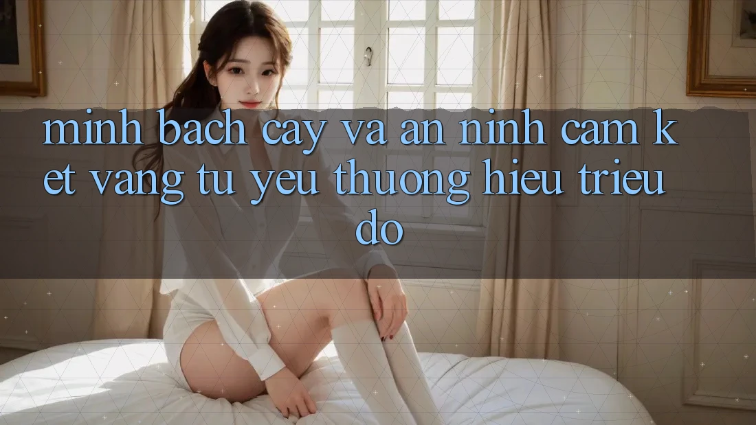 Minh bạch cậy Và An ninh: Cam Kết Vàng Từ Yêu thương Hiệu Triệu Đô Minh bạch cậy Và An ninh: Cam Kết Vàng Từ Yêu thương Hiệu Triệu Đô