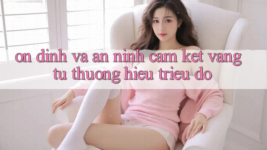 Ổn định Và An ninh: Cam Kết Vàng Từ Thương Hiệu Triệu Đô Ổn định Và An ninh: Cam Kết Vàng Từ Thương Hiệu Triệu Đô