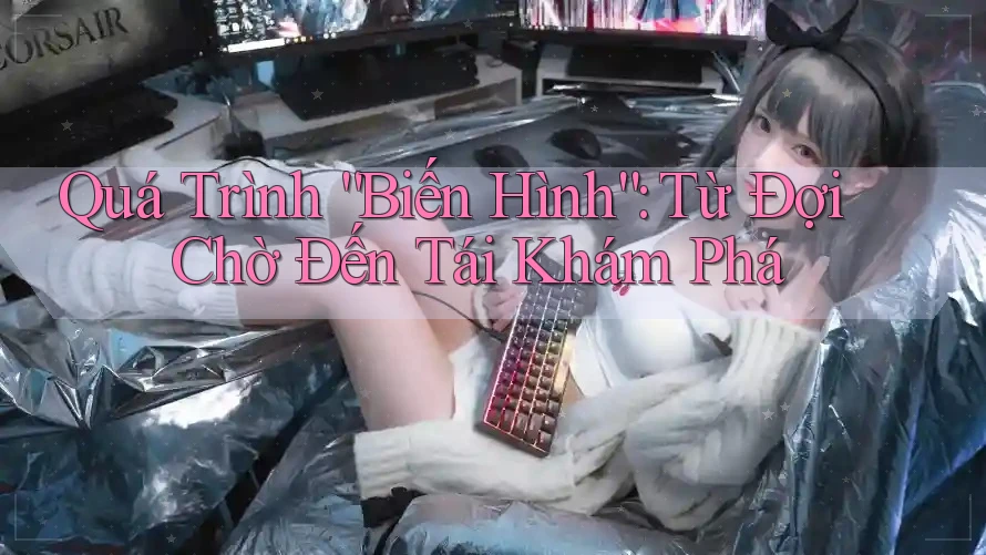 Quá Trình “Biến Hình”: Từ Đợi Chờ Đến Tái Khám Phá Quá Trình “Biến Hình”: Từ Đợi Chờ Đến Tái Khám Phá